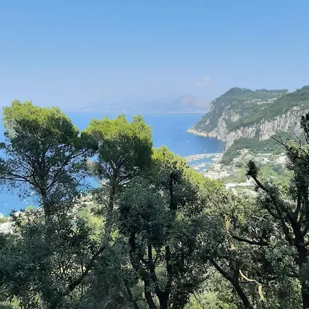 בית הארחה La Casa Nel Bosco 4*