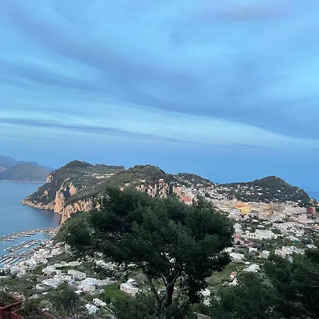 Konukevi La Casa Nel Bosco Capri