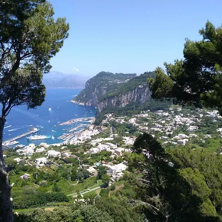 La Casa Nel Bosco * Capri
