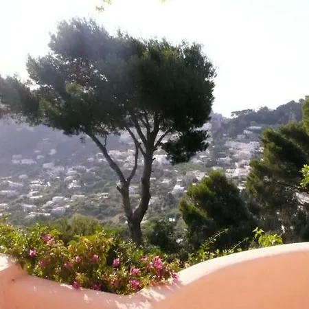 בית הארחה La Casa Nel Bosco 4*