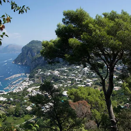 La Casa Nel Bosco Penzion Capri